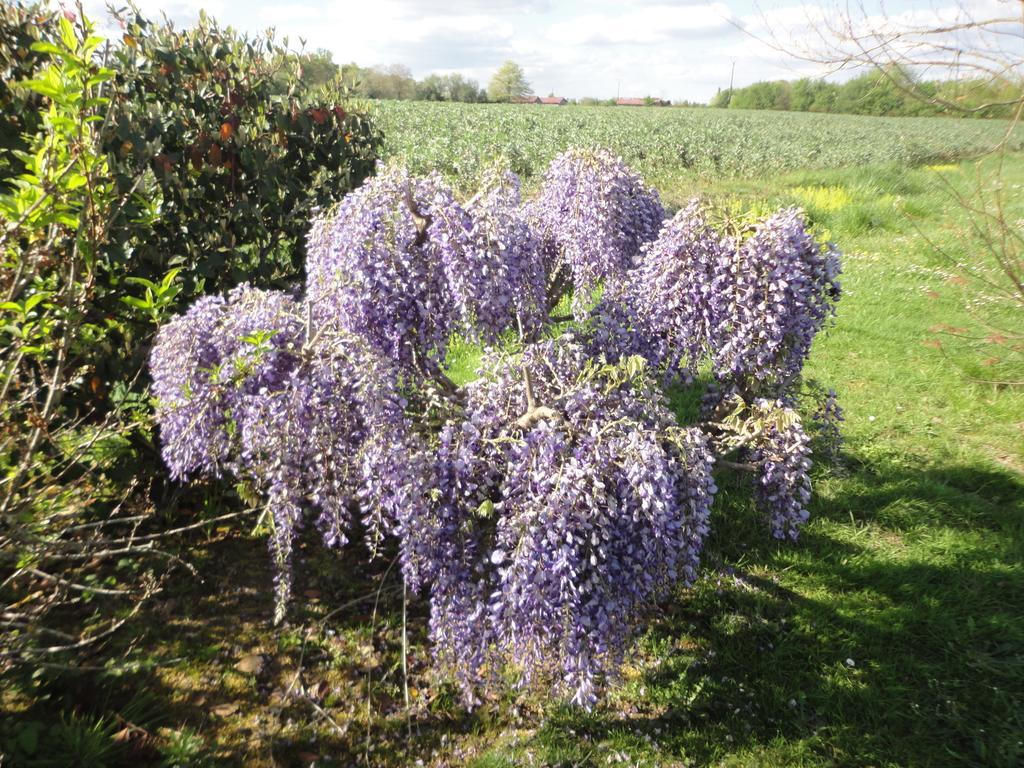 Domaine De La Meniguere Hotel Saint-Gein Luaran gambar